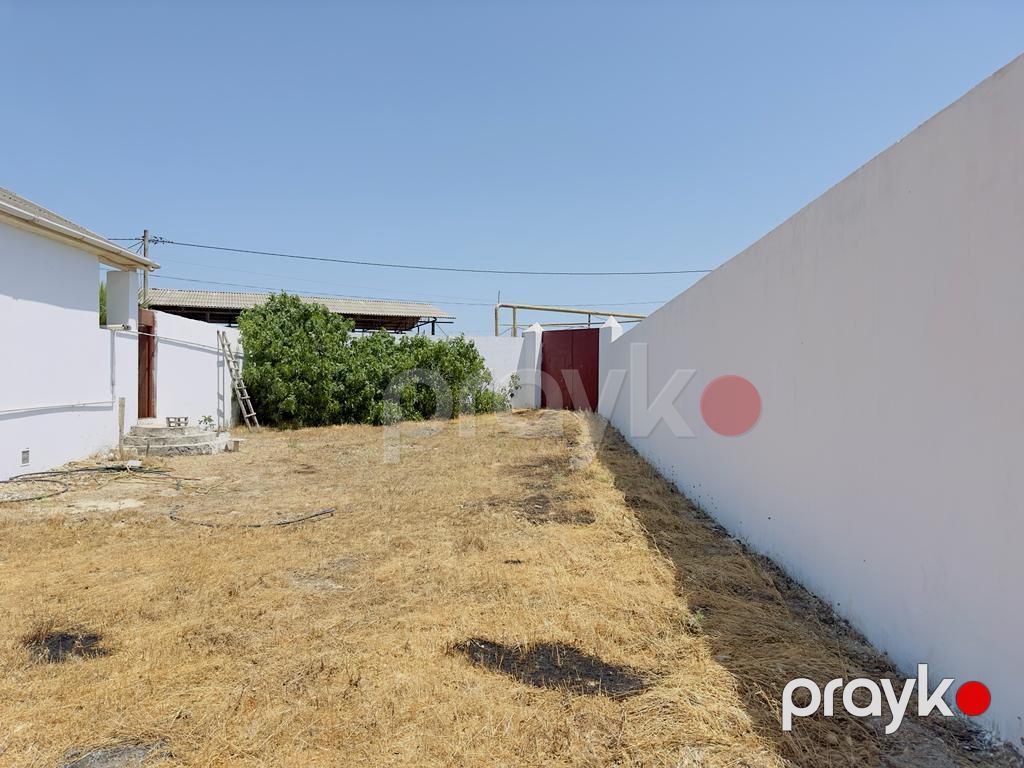 Bağ evi, Qala qəs — Ev, villa, Bakı (3)