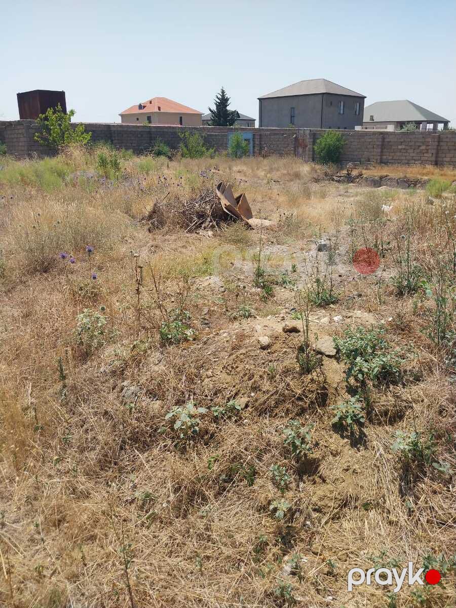 Satılır torpaq 8 sot — Torpaq, Bakı (3)