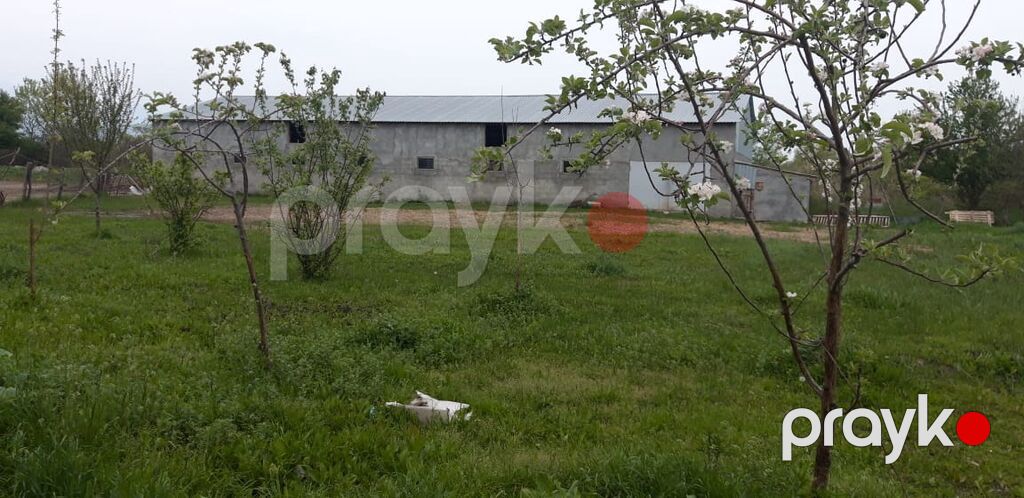 Heyvandarlıq üçün ferma binası - Dəyərindən qat qat az məbləğə — Əmlak, Şəki (8)