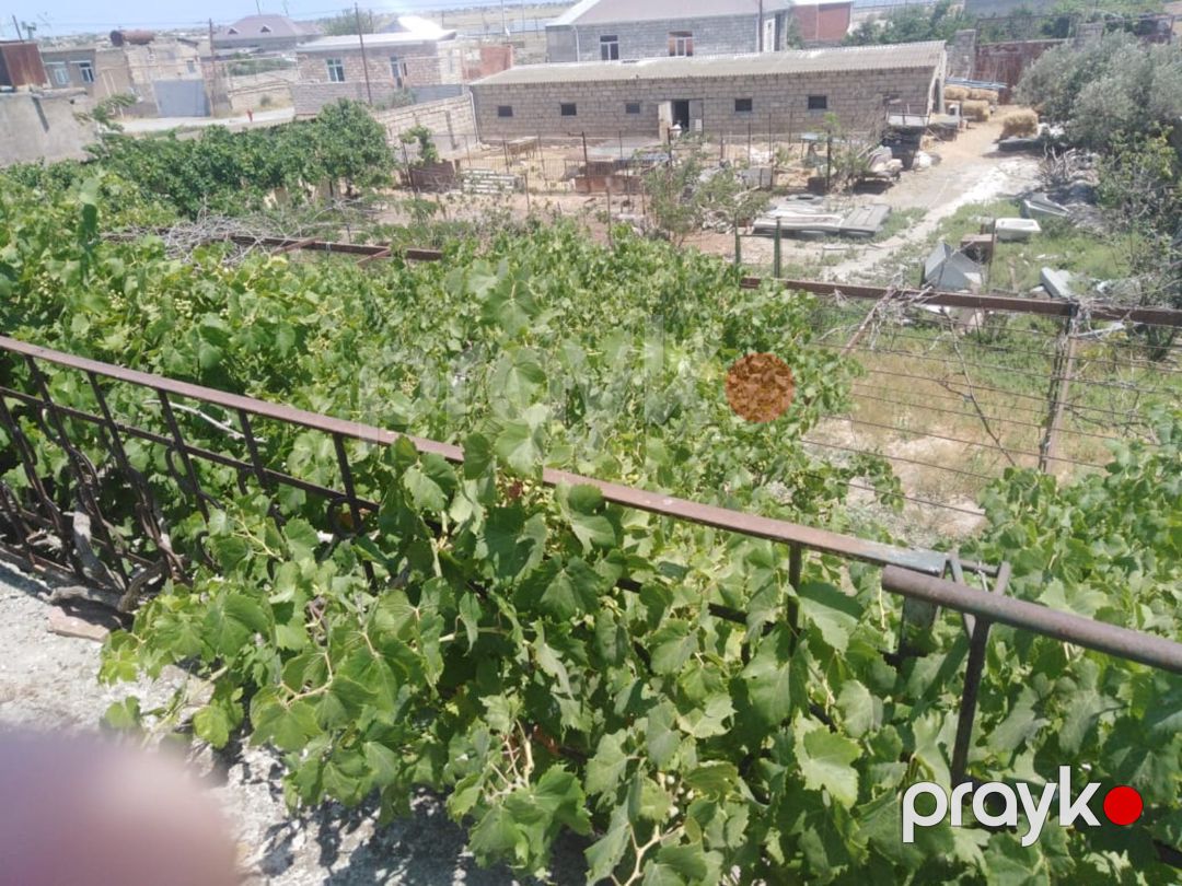 7 sot torpaq sahəsi, Kürdəxanı qəs — Torpaq, Bakı (2)