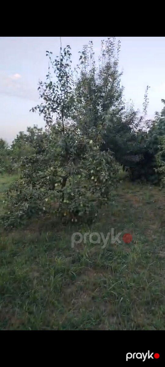 60 sot torpaq sahəsi, Xaçmaz r — Torpaq, Xaçmaz (3)
