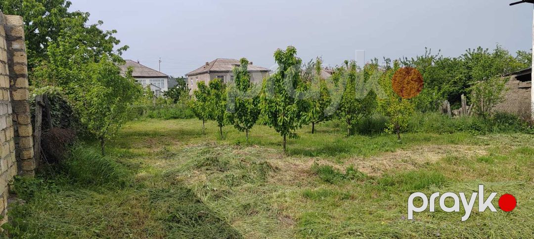 Satılır torpaq 6 sot — Torpaq, Quba (4)
