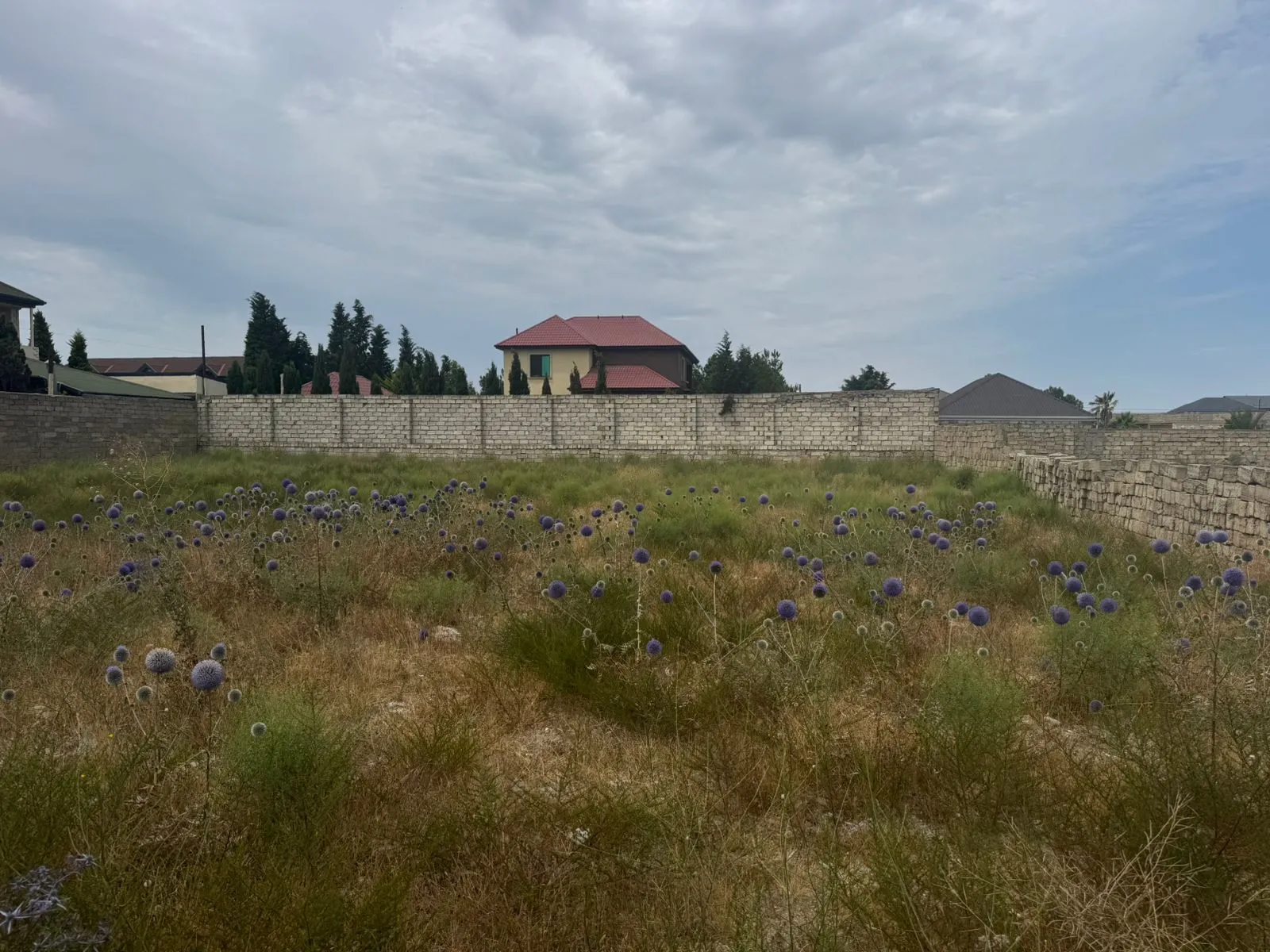 Şüvəlan, Torpaq satılır - 14 sot — Torpaq, Bakı (8)