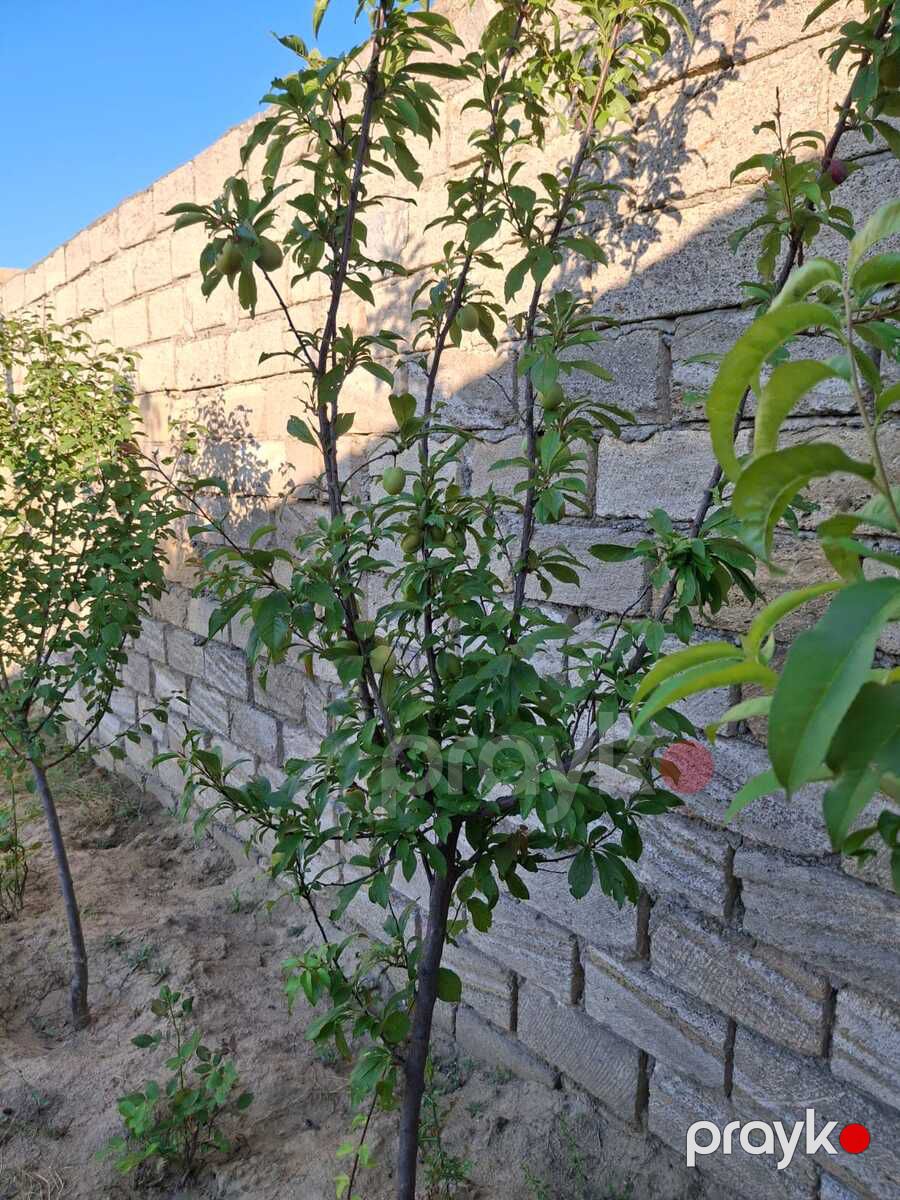Satılır 2 otaqlı həyət evi/bağ evi 41 m² — Ev, villa, Bakı (11)