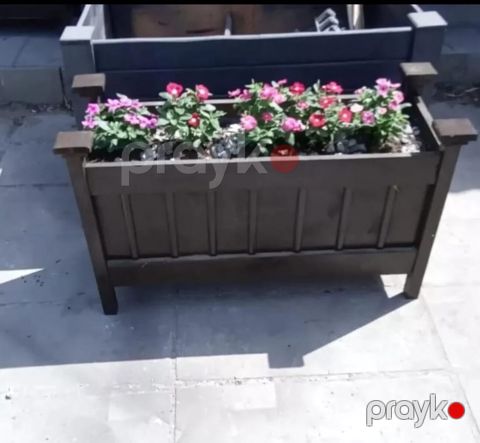 Taxta dibçəklər — Bakı