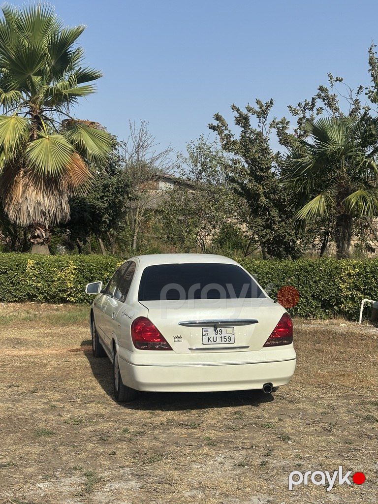 Nissan Sunny, 1.3 L, 2008 il, 350 000 km — Avtomobillər, Masallı (3)