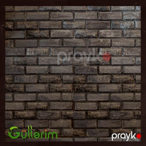 Tamet 029 — Bakı