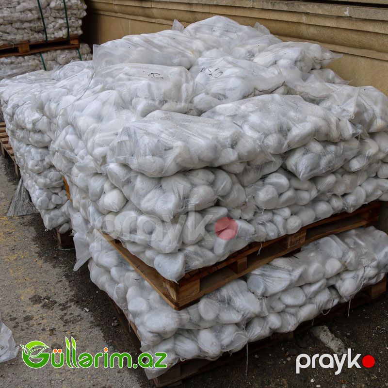 Ağ Daş (türk) 4-7 sm — Bağ dekorasiyası, Bakı (3)