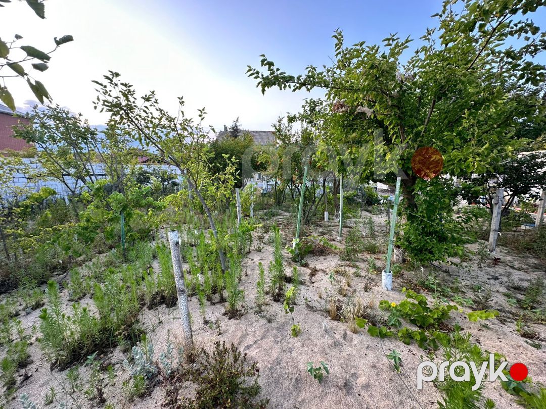 Satılır torpaq 2 sot — Torpaq, Bakı (8)