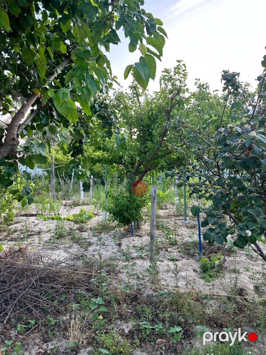 Satılır torpaq 2 sot — Torpaq, Bakı (6)