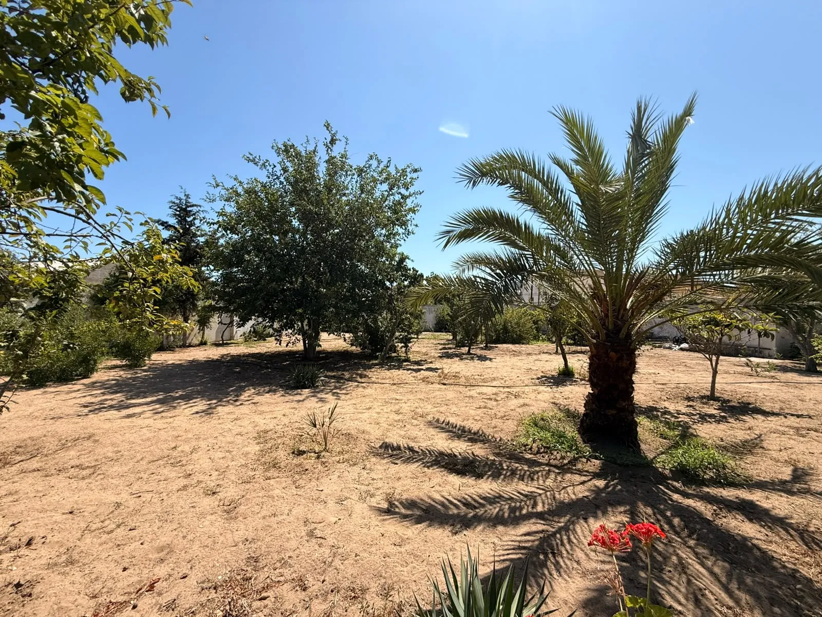 Şüvəlan, Torpaq satılır - 5 sot — Torpaq, Bakı (4)