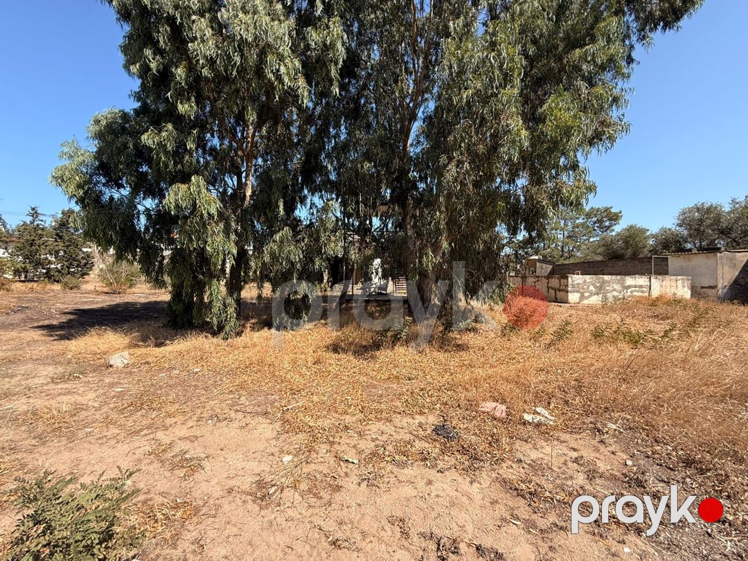4 sot torpaq sahəsi, Şüvəlan qəs — Torpaq, Bakı (4)