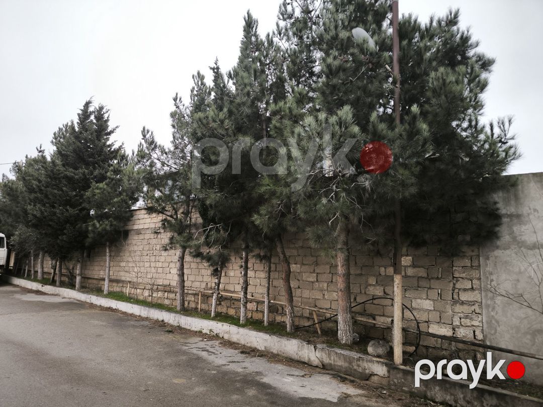 15 sot torpaq sahəsi, Mərdəkan qəs — Torpaq, Bakı (11)