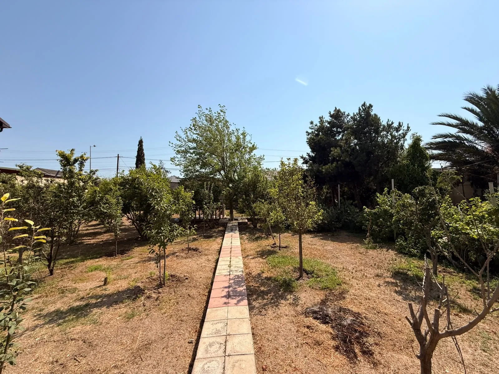 Şüvəlan, Torpaq satılır - 6 sot — Torpaq, Bakı (3)