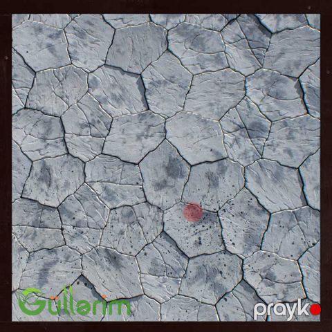 Tamet 072 — Bakı