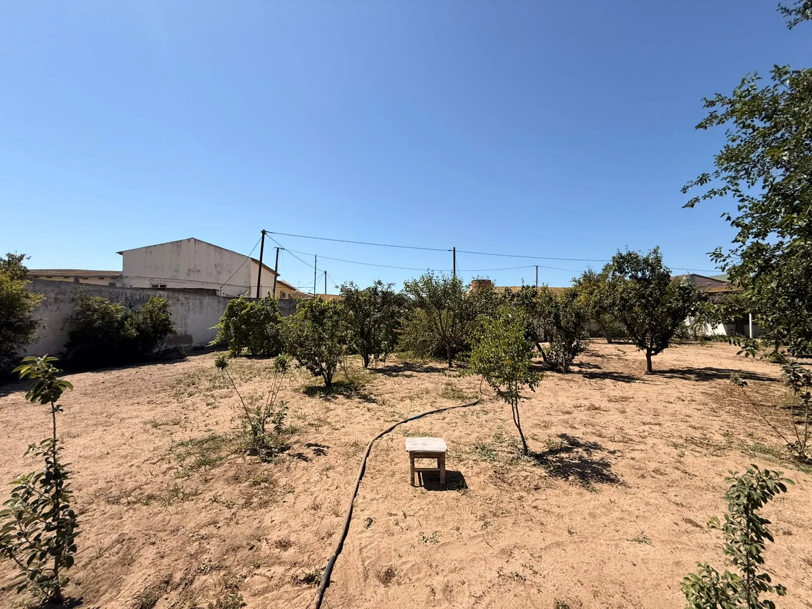 Şüvəlan, Torpaq satılır - 5 sot — Torpaq, Bakı (5)