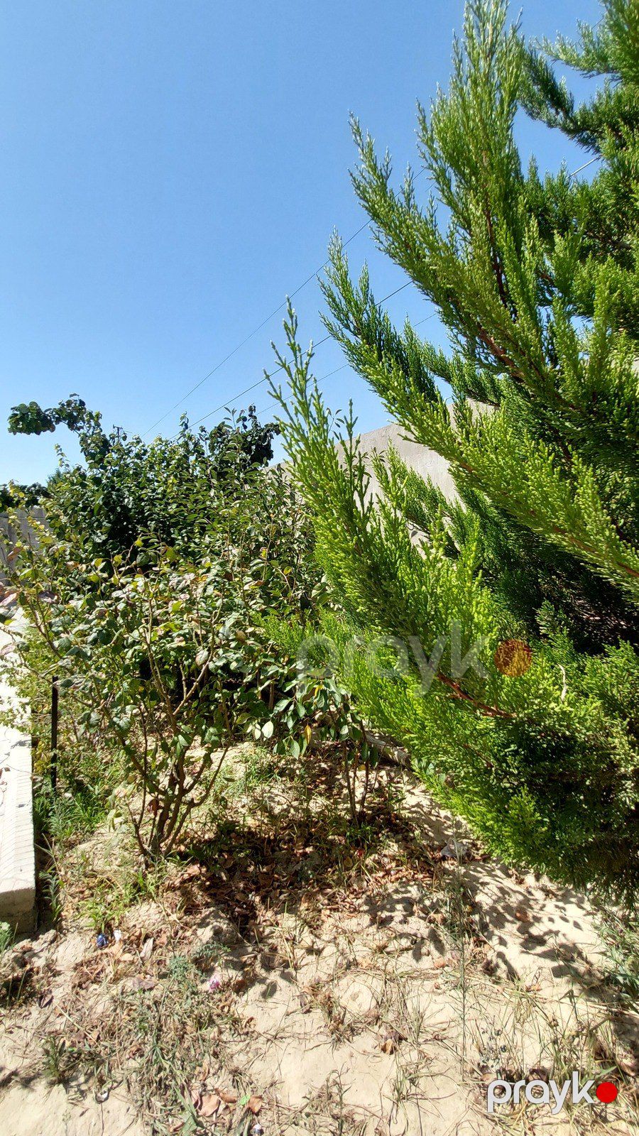 Satılır 4 otaqlı həyət evi/bağ evi 160 m² — Ev, villa, Bakı (3)