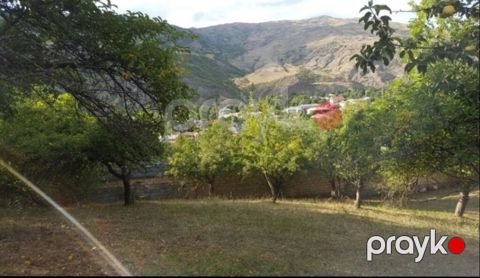 6 sot, Tikinti, Mülkiyyətçi, Kupça (Çıxarış) — Bakı