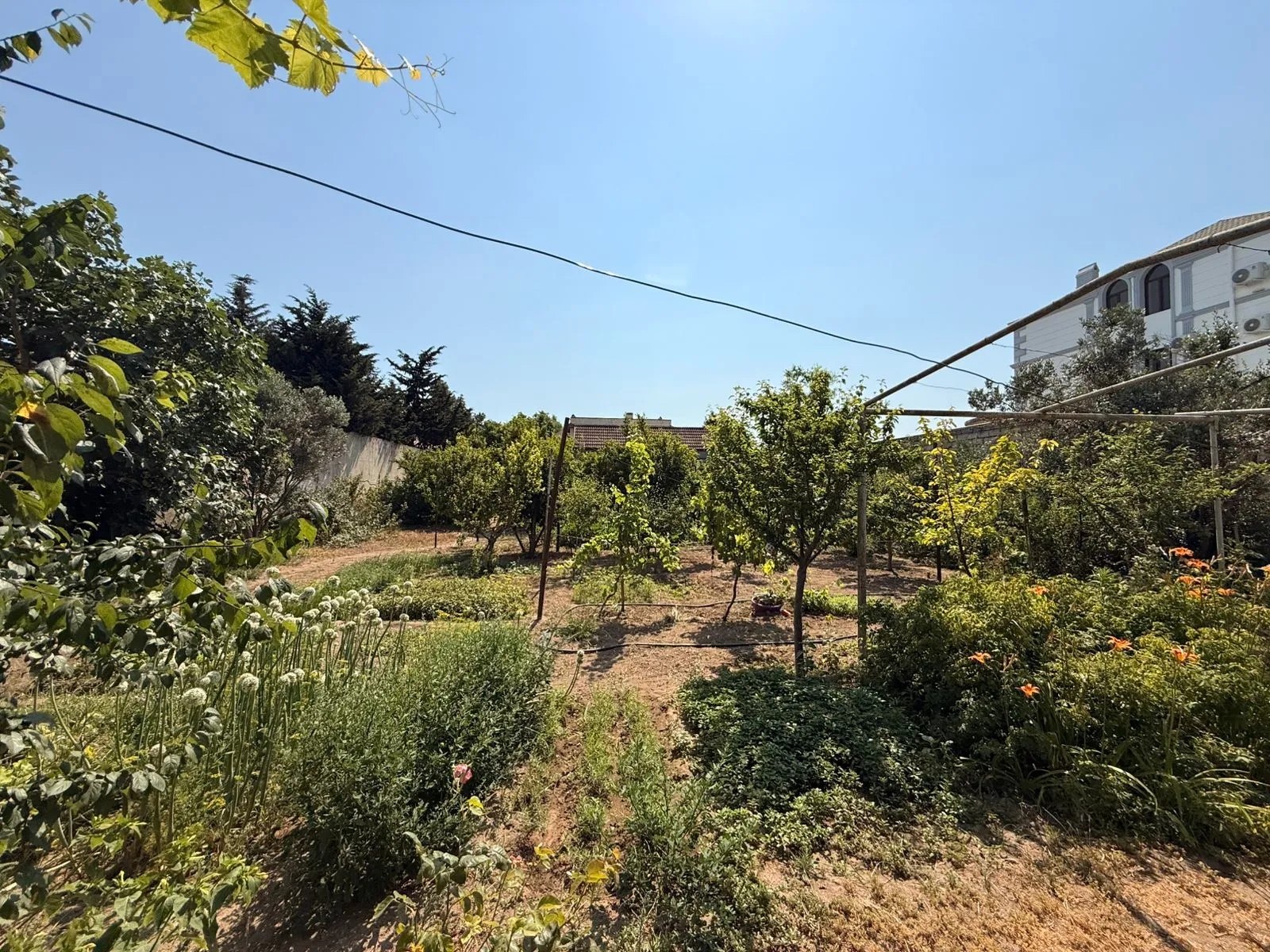 Mərdəkan, Torpaq satılır - 12 sot — Torpaq, Bakı (2)