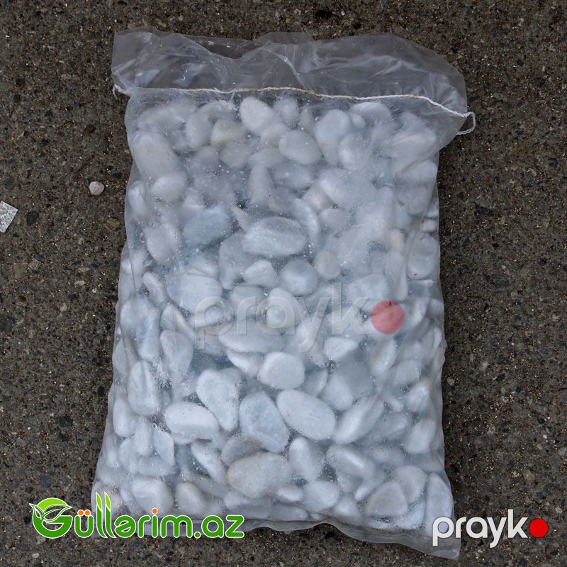 Ağ daş türk (das 2-4 sm) — Bağ dekorasiyası, Bakı (2)