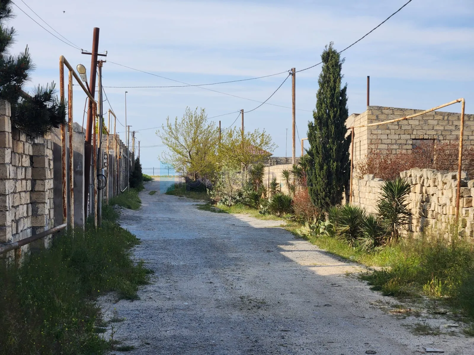 Satılır: Torpaq, Sabunçu r., Nardaran q., 12.00 sot — Torpaq (5)