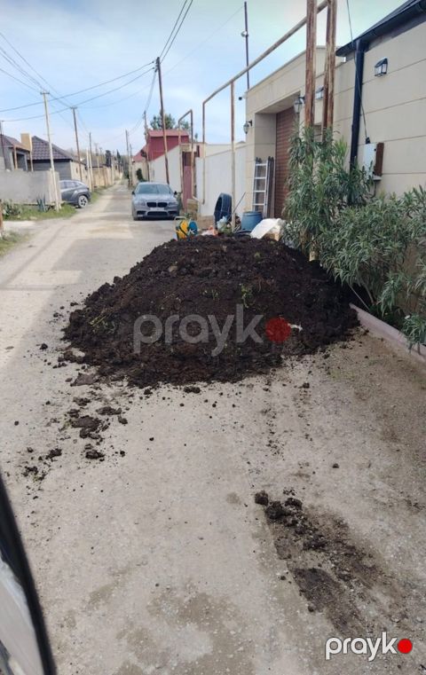 Qara meşə torpağı — Bakı