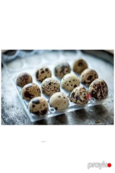 Yapon bildirçini yumurtası — Bakı