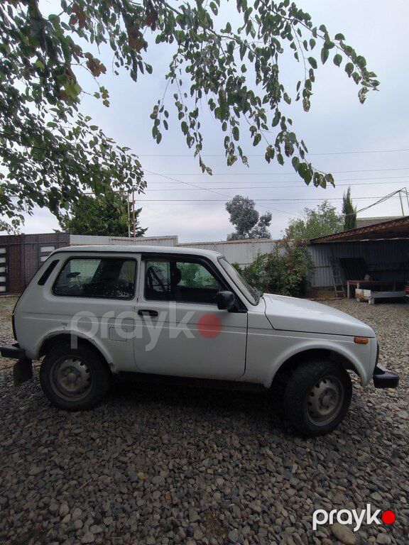 Lada (VAZ) Niva, 1.6 L, 2002 il, 234 000 km — Avtomobillər, Astara (4)