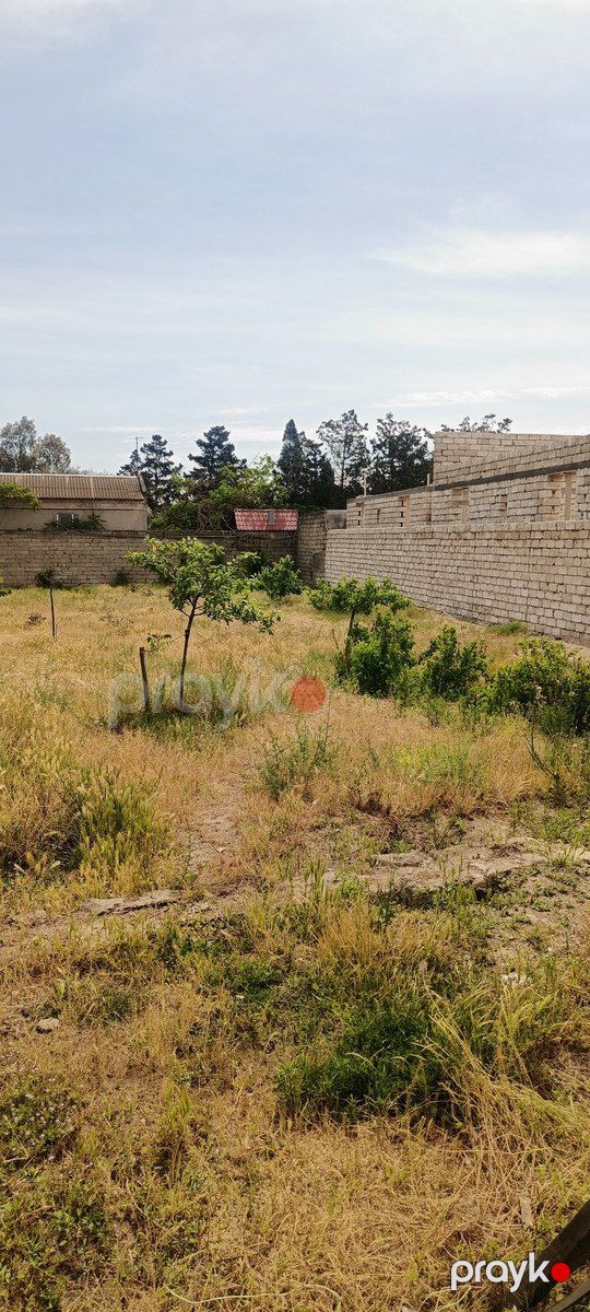 Satılır torpaq 40 sot — Torpaq, Bakı (3)