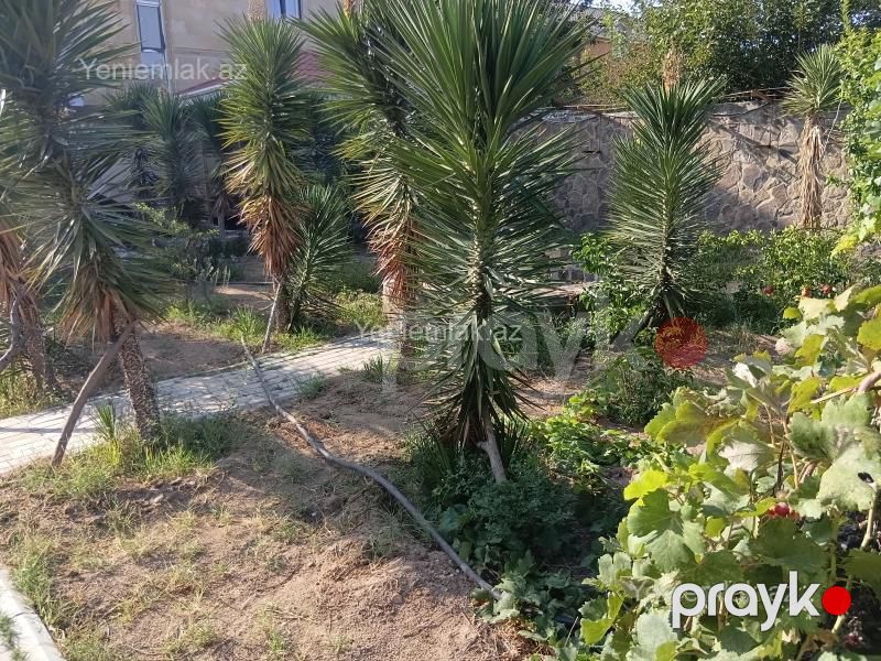 Satılır Torpaq sahəsi, 8 sot, 20-ci mikrorayon — Torpaq, Sumqayıt (10)