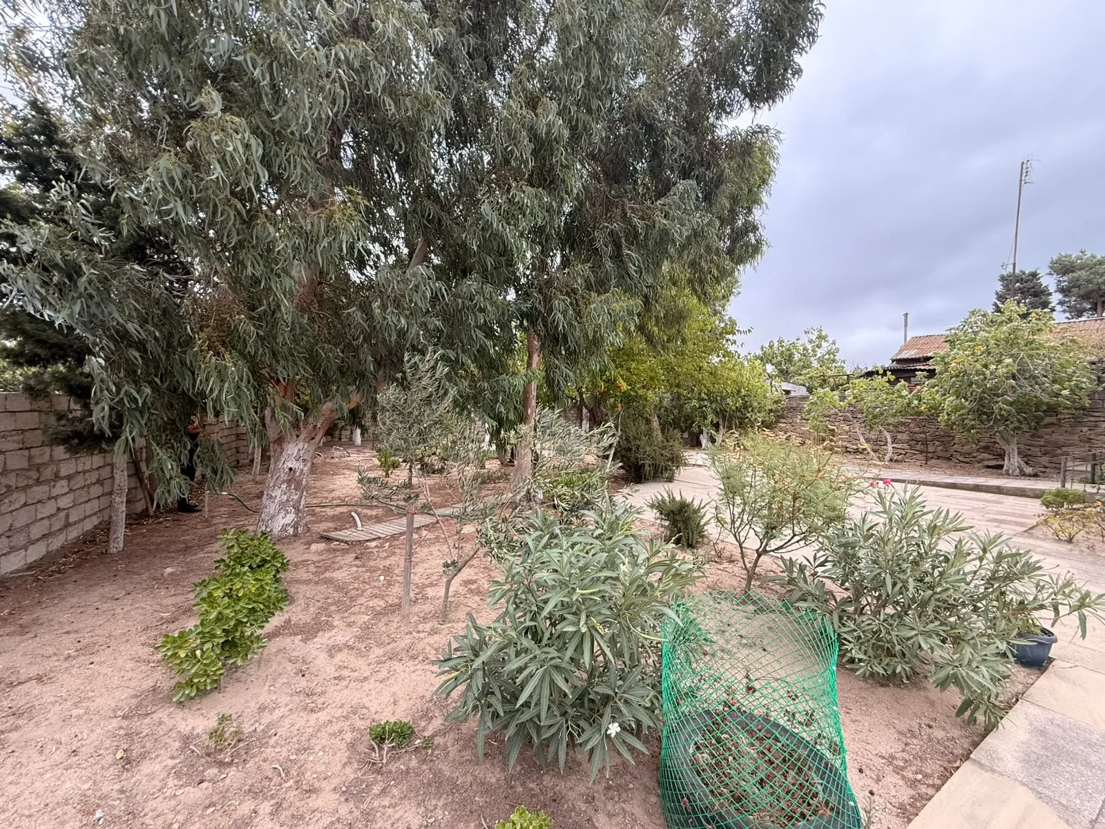 Mərdəkan, Torpaq satılır - 6 sot — Torpaq, Bakı (4)