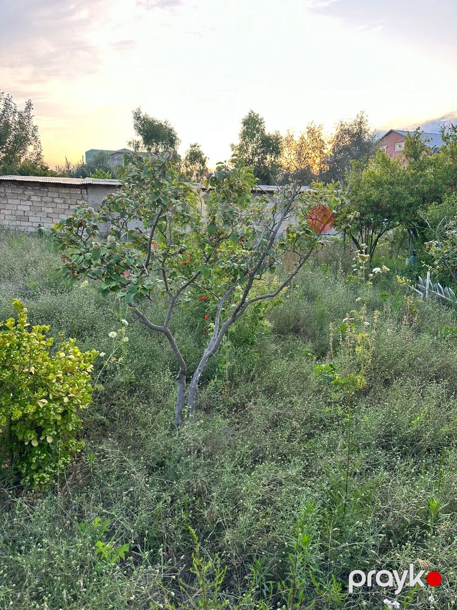 Satılır torpaq 2 sot — Torpaq, Bakı (5)