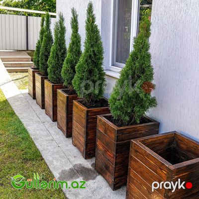 Taxta dibçək (Əl işi) 047