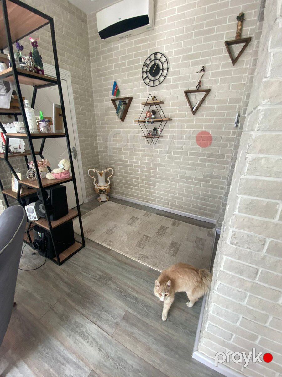 Bağ evi kirayə verilir, Novxanı qəs — Ev, villa, Bakı (10)
