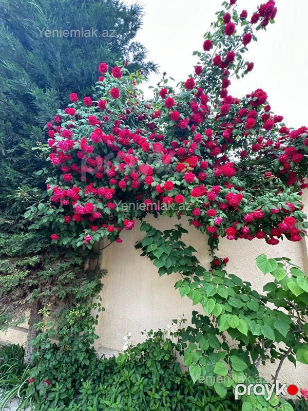 Satılır 4 otaqlı Həyət evi / Villa, 224 m², Masazır — Ev, villa, Abşeron (6)