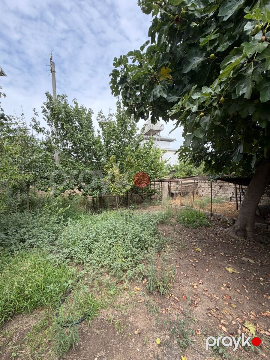 Satılır torpaq 4 sot — Torpaq, Bakı (2)