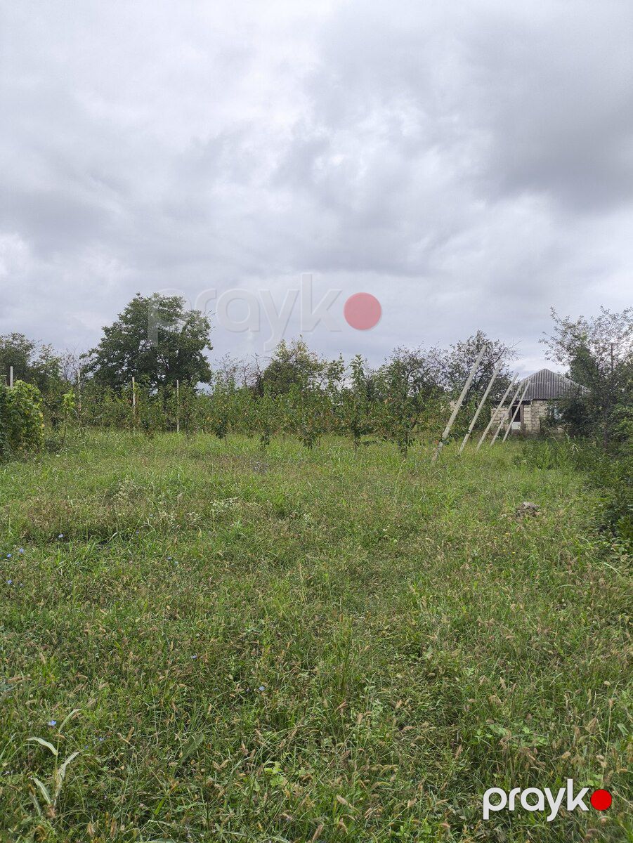 12 sot torpaq sahəsi, Qusar r — Torpaq, Qusar (3)