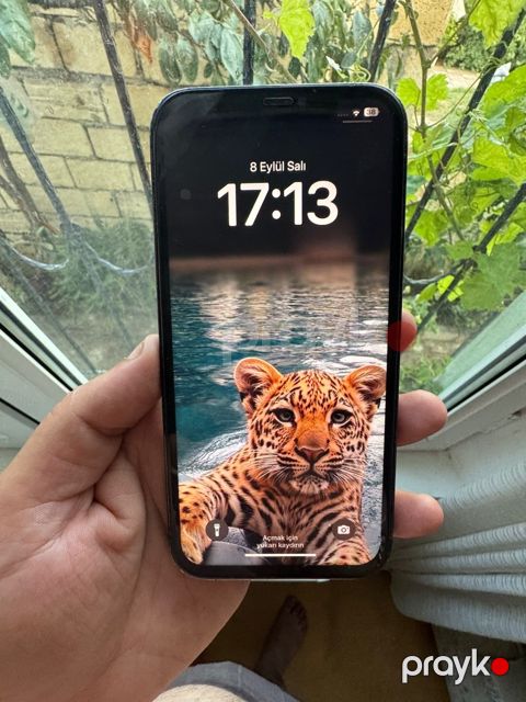 Apple iPhone 12 Pro Max Pacific Blue 256GB/6GB — Bakı