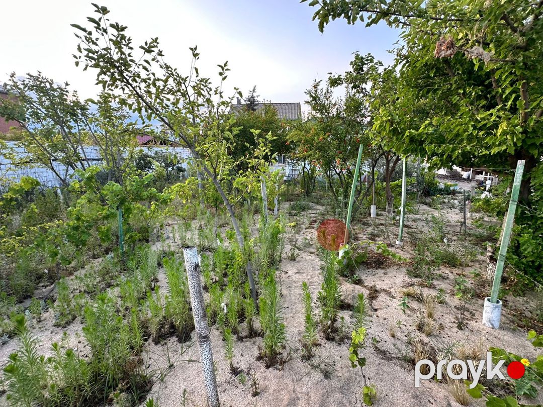 Satılır torpaq 2 sot — Torpaq, Bakı (2)