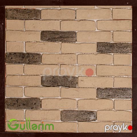 Tamet 011 — Bakı