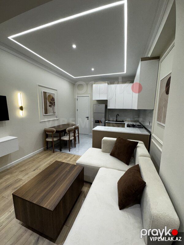 Nəsimi rayonunda 2 otaqlı Yeni tikili Kirayə verilir, 55 m² — Mənzil, Bakı (4)