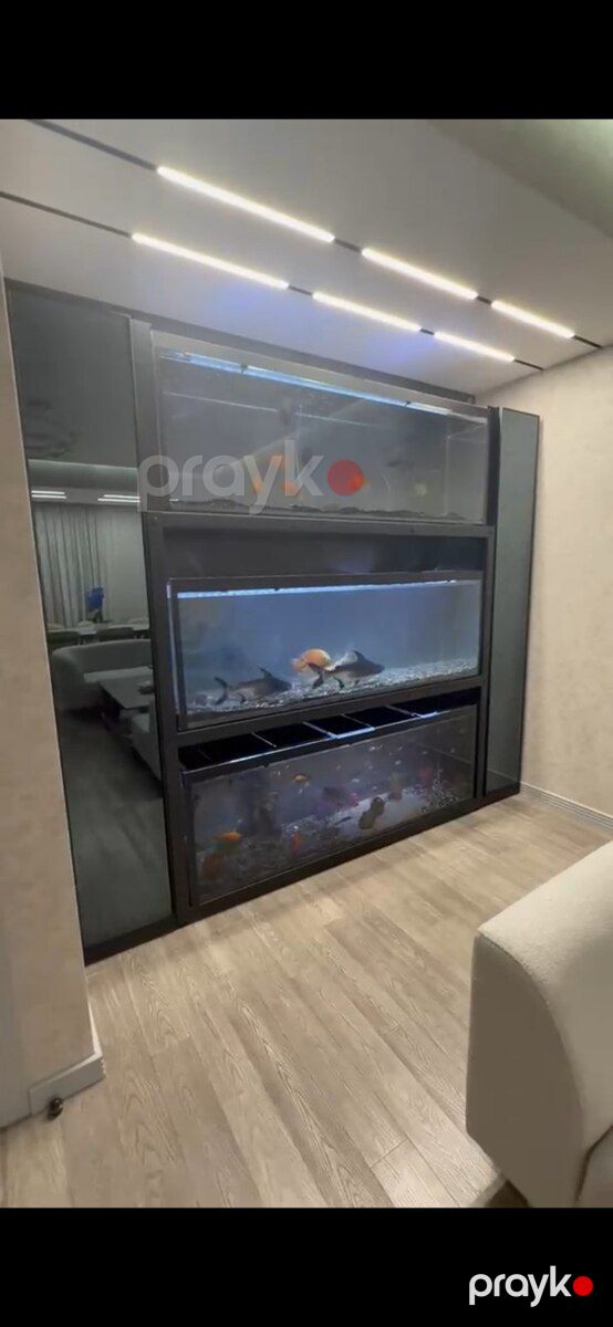 Akvarium — Akvariumlar və balıqlar, Bakı (3)