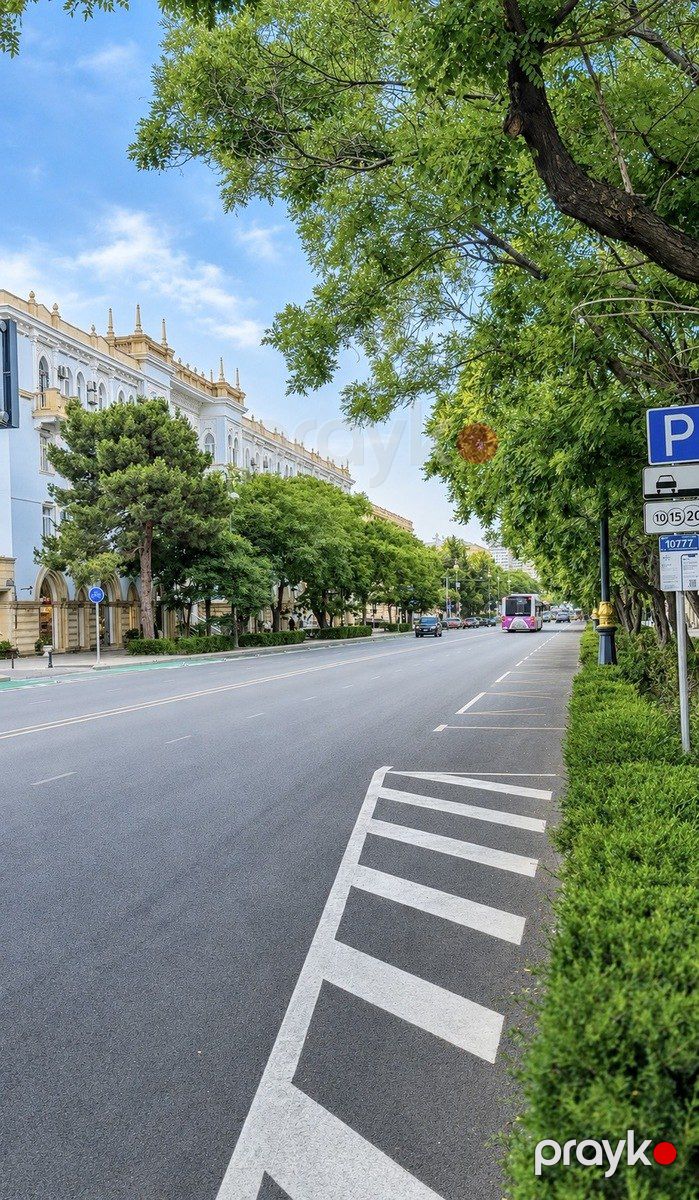Satılır 6 otaqlı həyət evi/bağ evi 550 m² — Ev, villa, Bakı (4)