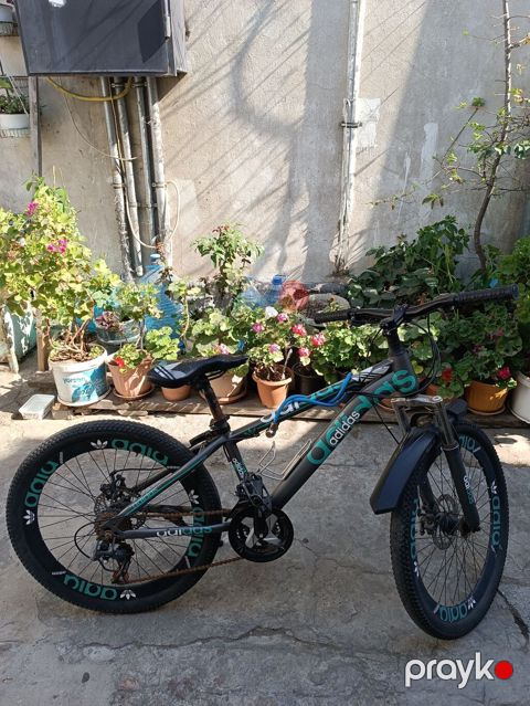 Velosiped – dağ/şəhər tipli, 24” təkər ölçüsü Xüsusiyyətlər — Bakı