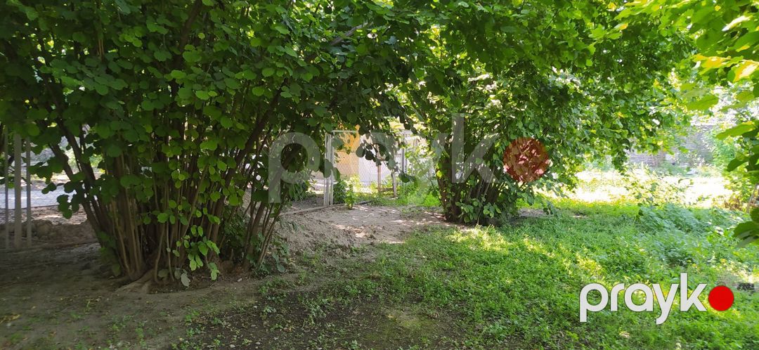 Həyət evi, Oğuz r — Ev, villa, Oğuz (9)