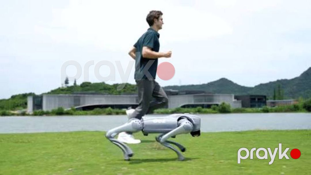 Robot it — Biznes və avadanlıq, Bakı (2)
