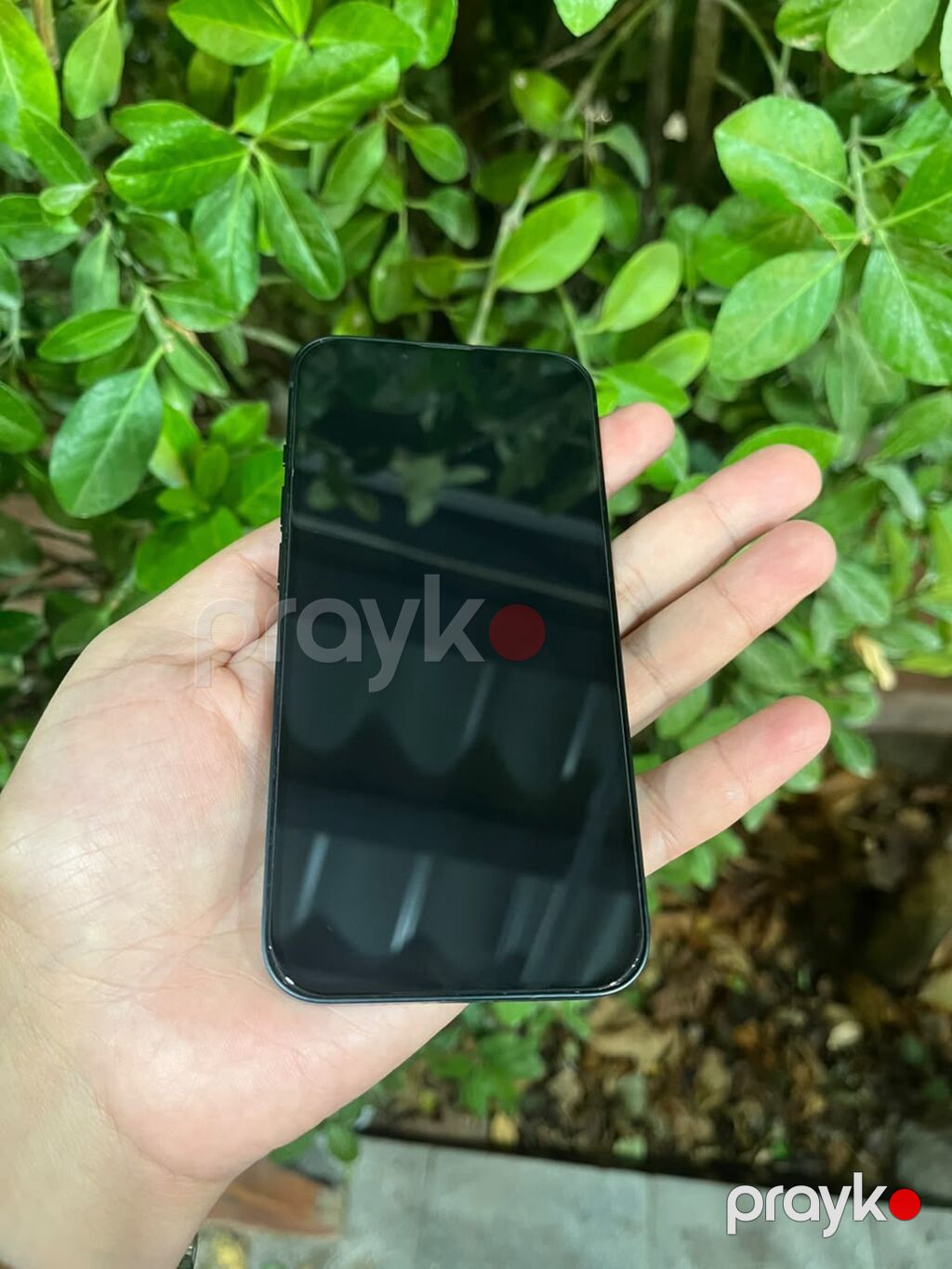IPhone 13, 128 GB — Apple iPhone, Digah (2)