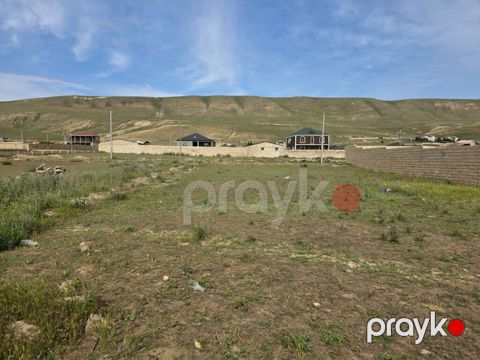 8 sot, Tikinti, Mülkiyyətçi, Kupça (Çıxarış) — Qobu