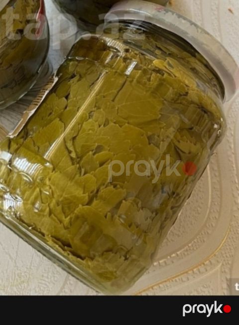 Şanı yarpağı — Bakı
