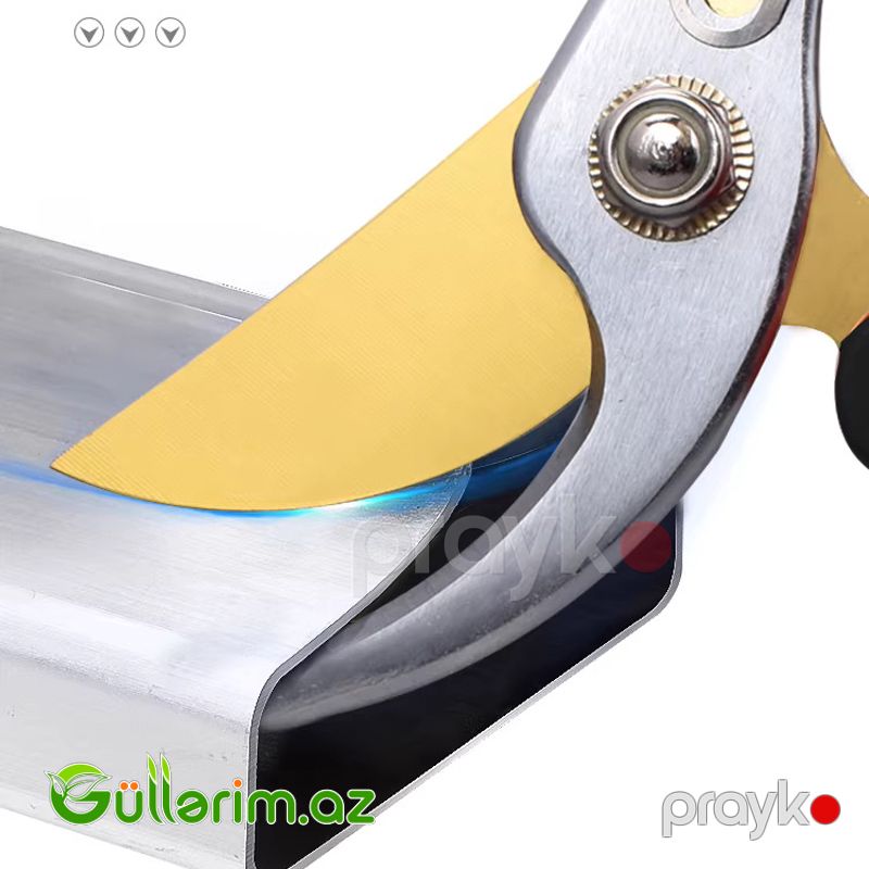Afıxs Professional Pruning Shears (Bağ qayçısı) — Bağ aləti, Bakı (3)